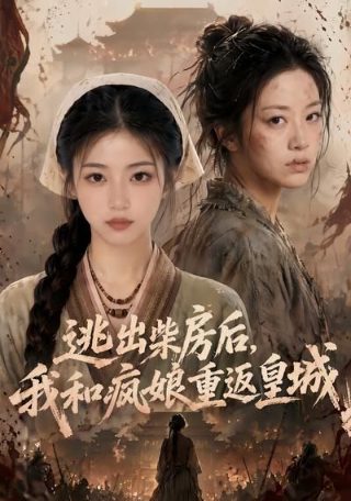 红毯先生迅雷下载电影天堂高清
