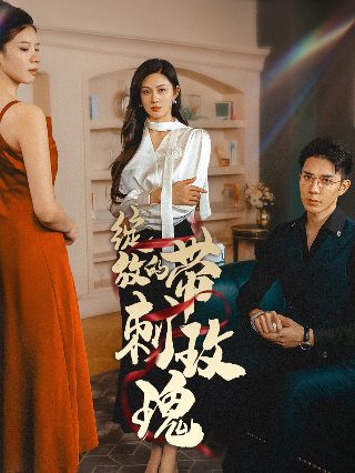 藏匿者剧情介绍大结局在线观看视频