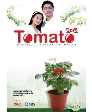 泡芙小姐主演叫什么
