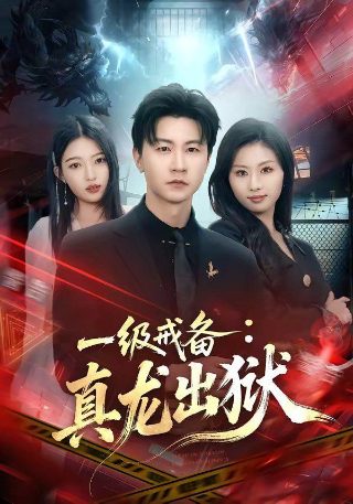 电视剧《红日》在线观看免费高清