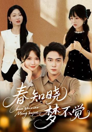 《岳飞传》故事简介概括