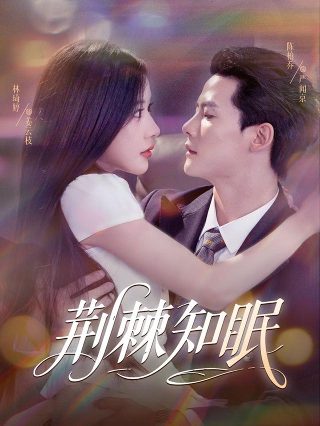 半暖时光第二季免费观看