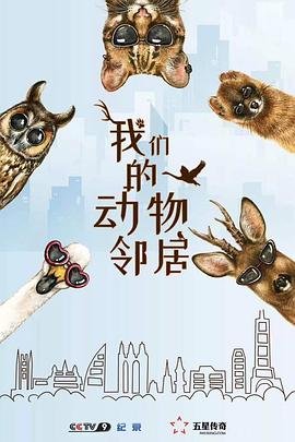 盗墓笔记8大结局 百度网盘下载链接