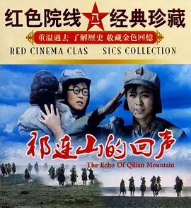 电影《浴血反击》获奖情况