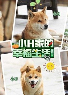 绝地枪王第3部免费观看全集下载百度云