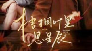 李小龙传奇第29集央视网