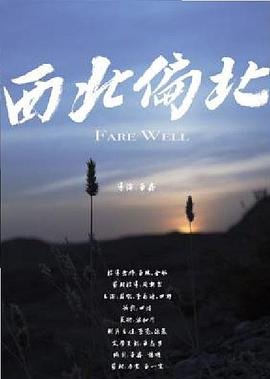 都市巡警电视剧全集播放免费观看下载安装