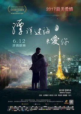 动物出击电视剧在线观看全集