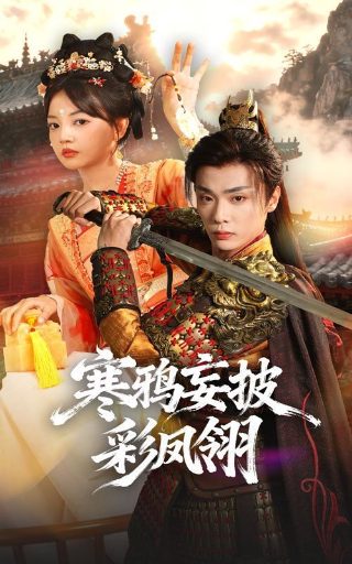 杀手十三阴谋剧情分析
