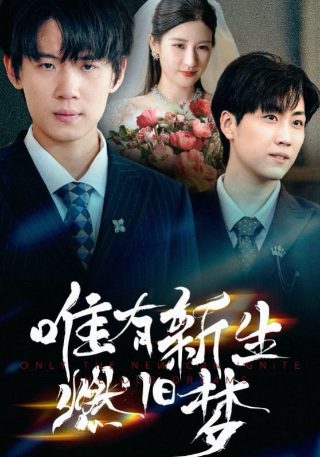 韩剧《王的男人》李准基主演