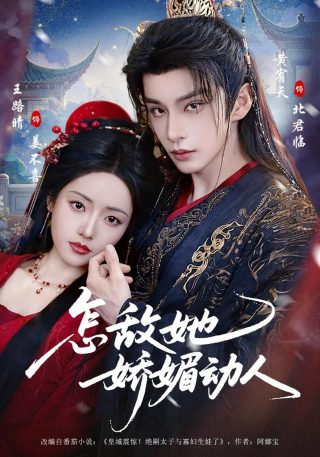 烽火儿女情好看吗
