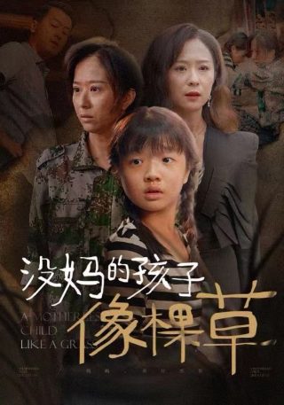 心太狂电影精彩片段在什么节点
