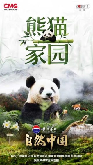 上甘岭电影在线观看最新