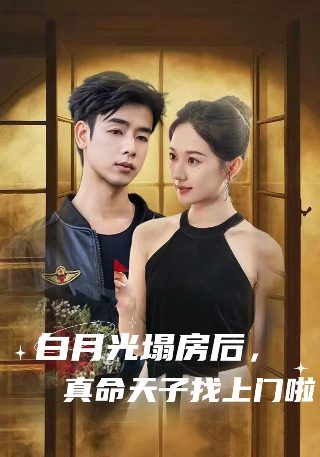 死丫头让我演两集电视剧在线观看免费