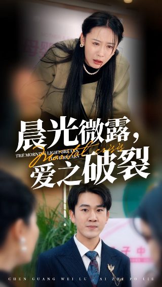 《风影》电视剧剧情介绍大结局免费观看