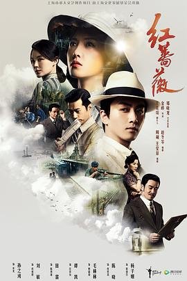 哥哥你别跑演员表介绍