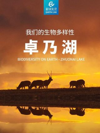 我是特种兵主演现状怎么样