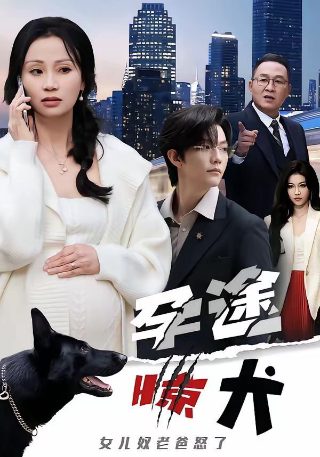 韩剧传闻中的七公主国语配音在哪里看