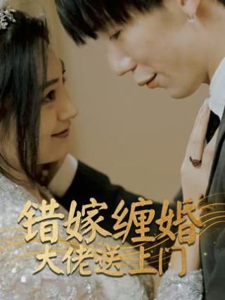 《金刚2》完整版免费观看国语电影下载高清视频
