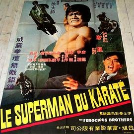 副警长 电视剧