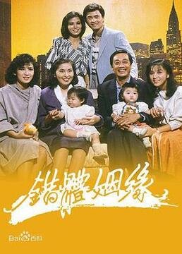 完美搭档电视剧直播间