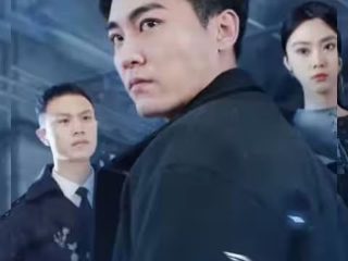 电影《海豚》在线观看国语版高清下载