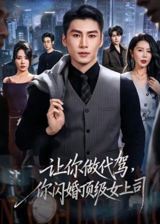 孤星自照青云路免费观看电视剧