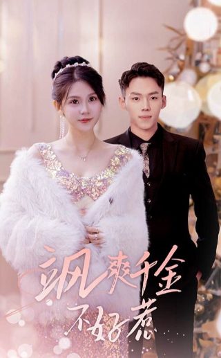 《选择》视频素材高清无水印下载软件