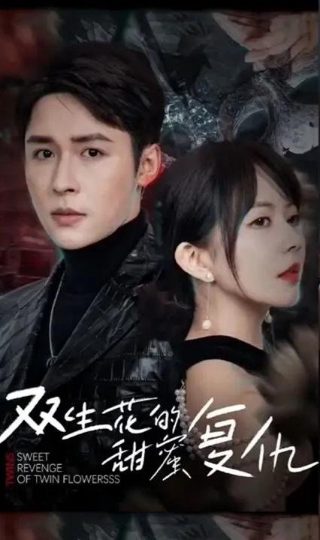 北京女子图鉴全20集网盘