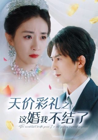电视连续剧棋魂在线播放
