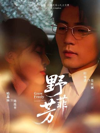 抗美援朝10集完整版在线观看高清