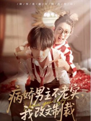 国语《蝴蝶梦》电影在线观看免费高清版下载