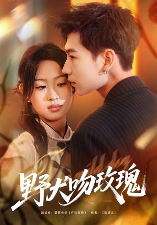 西游记后传2000全30集