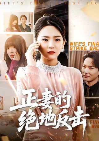 金城档案心得体会