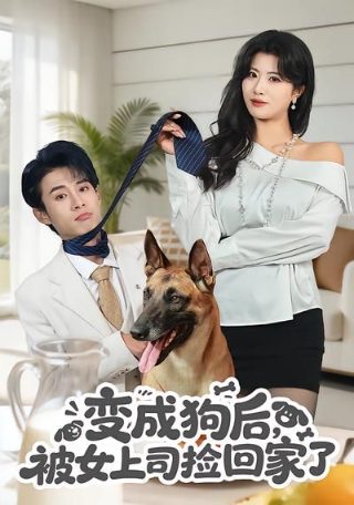 飙速宅男剧场版免费观看全集高清