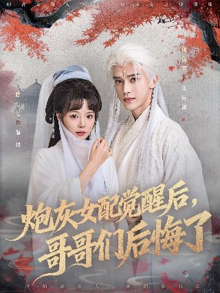 阳光之下第34集免费观看全集下载百度云资源