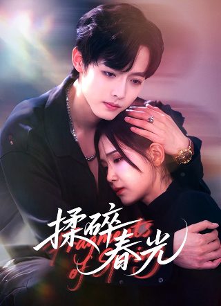 真心半解资源百度云