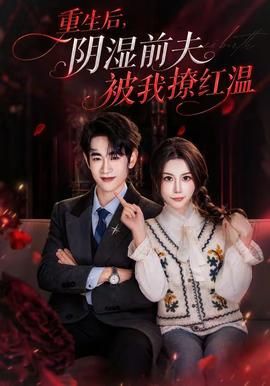 《弑君者》故事简介概括内容是什么呢