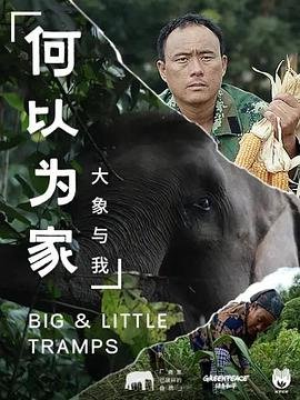秦颂百度云完整版下载资源网盘