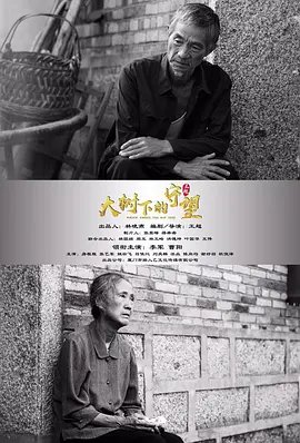 《一夜惊喜》电影演员表大全介绍图片高清版