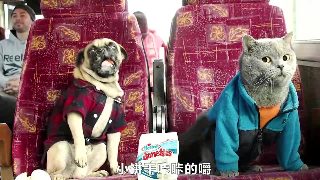 雪中悍刀行88集剧情介绍大结局