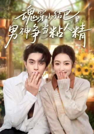 八十年代电视连续剧大全