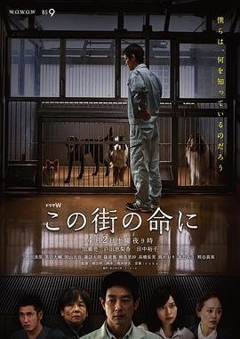 花千骨53免费播放