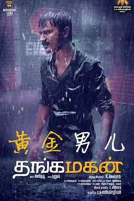 玫瑰30朵代表什么意思