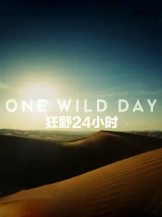 阿诚电视剧全集播放免费观看下载视频