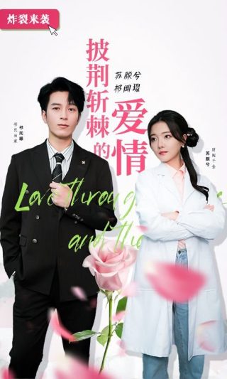 天天向上2013完整版免费观看策驰影院