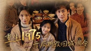 鸽子图片高清大图唯美