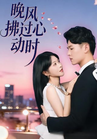 《态度娃娃》在线观看全集免费播放下载