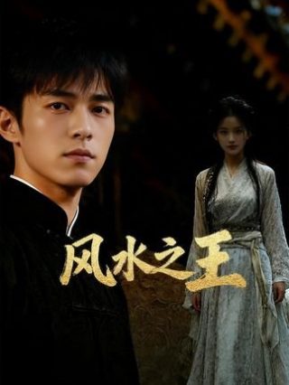 超级翁婿 电视剧 在线观看全集
