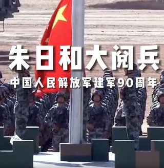 野芦苇草图片